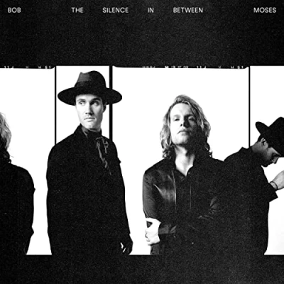 Imagen de The Silence in Between (LP) [Vinilo]