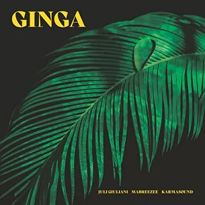 Imagen de Ginga [Vinilo]