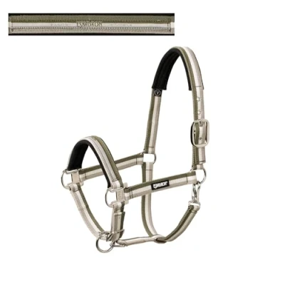 Imagen de Eskadron Halter pin buckle