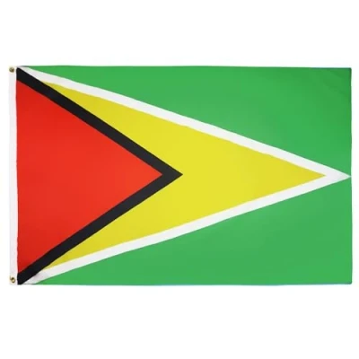 Imagen de AZ FLAG Bandera Guyana 90x60 cm Guyanésa 100% Poliéster Con Ojales de Metal integrados 50g Colores Vivos Y Resistente A La Decoloración