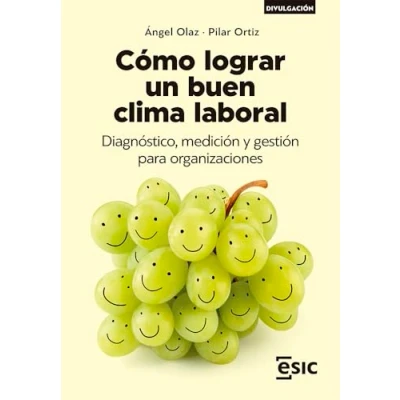 Imagen de Cómo lograr un buen clima laboral: Diagnóstico, medición y gestión para organizaciones (Divulgación)