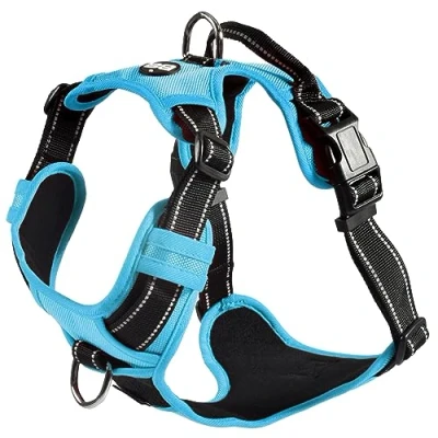 Imagen de Bobby Rando Walk arnés para Perro, tamaño Mediano, pequeño, grande, de Nailon, Seguro, cómodo, Reflectante, Ajustable, Azul, S/32 48 x 1,6 cm