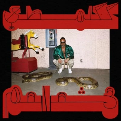 Imagen de Robbed In Rareness [Vinilo ltd color]