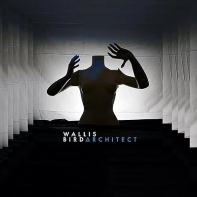 Imagen de Architect (Vinyl) [Vinilo]