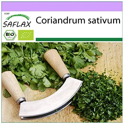 Imagen de SAFLAX Ecológico Cilantro 150 semillas Coriandrum sativum