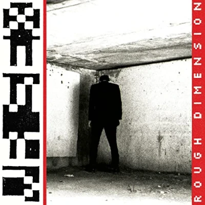 Imagen de Rough Dimension Vinilo