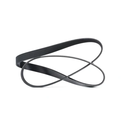 Imagen de DAYCO 6PK1155 Correa trapecial poli V 1155,0 6 PEUGEOT: 307 Hatchback, SW, Familiar, BMW: 3 Touring, 4 Gran Coupe, 1 Hatchback