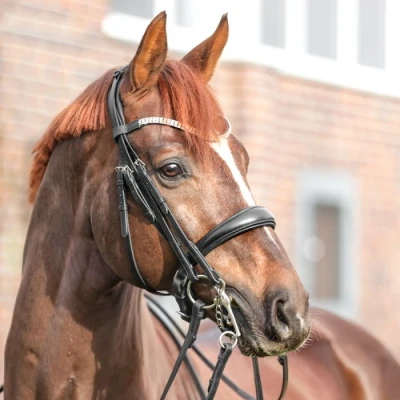 Imagen de Kavalkade Double Bridle Sonya