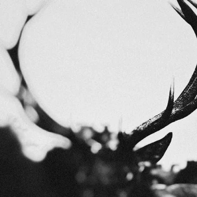 Imagen de Ihsahn (Orchestral Version) [Vinilo]