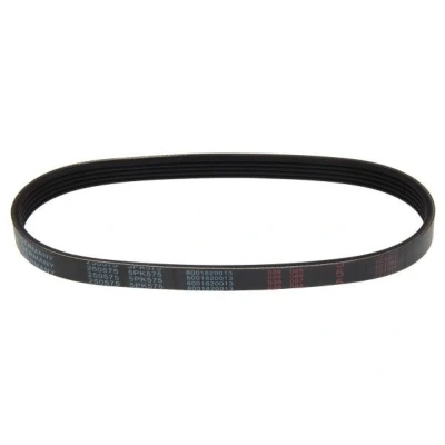 Imagen de MAPCO 250575 Correa trapecial poli V 575 5 FORD: MONDEO 2, Escort 6, 6 Cabrio