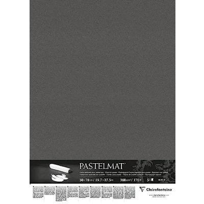 Imagen de Clairefontaine Ref 96009C Hojas para Sobres Pastelmat (5 hojas, 360 g/m², 50 x 70 cm), color antracita, especialmente formuladas usar con pasteles