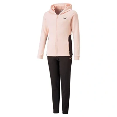 Imagen de PUMA Sudadera con Capucha TR Cl G Chándal, Unisex Adulto, Black Rose Dust, 104