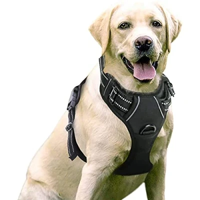 Imagen de rabbitgoo Arnes Perro Antitirones Extra Grande con Lineas Reflecantes Arnés Perros Coche Adiesreamiento Correa Chaleco Acolchado Ajustable Asa y Enganche para Labrador Color Negro