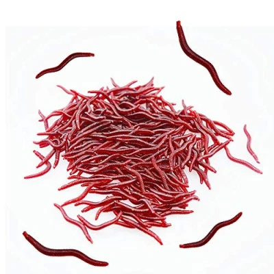 Imagen de Senven Artificial lombriz, silicona suave biomimética Cebo lombriz Señuelos pesca Simulación Gusanos rojos plástico Ambiente verde Fuerte tentación Falso RedWorm 200Pcs