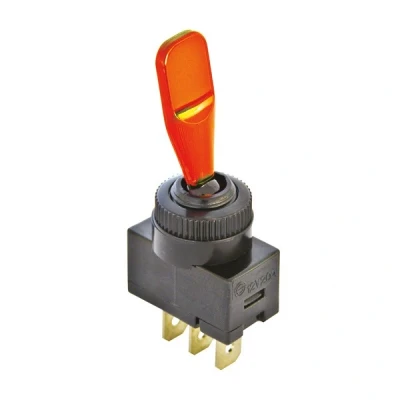 Imagen de CARPOINT 0810661 Interruptor 24 on/off 30