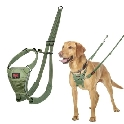 Imagen de Arnés anti tirones HALTI para evitar que tu perro tire de la correa, Ajustable, Ligero y Fácil Usar. Reflexiva Adiestramiento canino perros medianos (Talla M, Bosque Verde)