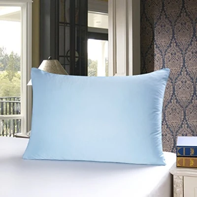 Imagen de TOWNSSILK Funda de Almohada 100% Seda Morera, cuida el Cabello y la Piel, Ambos Lados 19 Momme, 1 Unidad,Iceblue， 50 x 75 cm