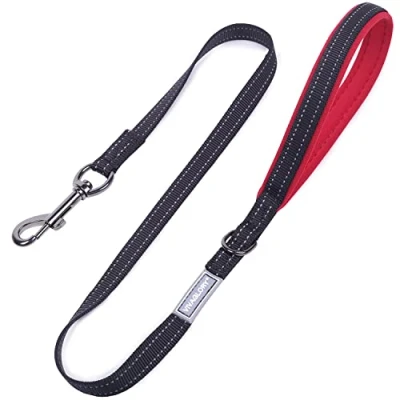 Imagen de VIVAGLORY Correa para Perros, de Entrenamiento con Mango Acolchado Neopreno, Resistente Perros Pequeños y Medianos