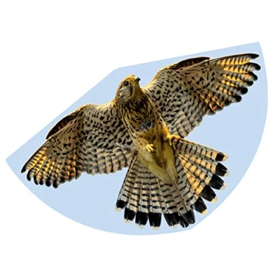 Imagen de GÜNTHER FLUGSPIELE 1230 Cometa Infantil con diseño de halcón, Polietileno Resistente, báscula dragón Ajustable, para niños a Partir 4 años, asa y Cuerda, Aprox. 92 x 62 cm