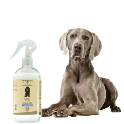 Imagen de Champú en seco natural para perros, lavado sin necesidad de agua ni aclarado, ingredientes origen vegetal, todos los tipos cabello, línea 101 (500 ml)