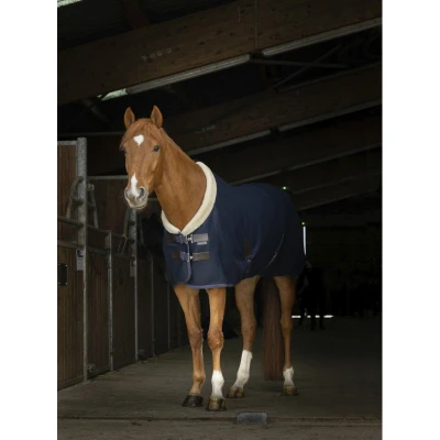Imagen de EQUITHÈME Teddy Mesh Rug