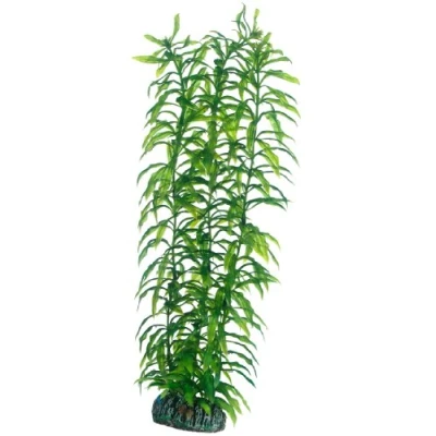 Imagen de Hobby 51567 Heteranthera 34 cm