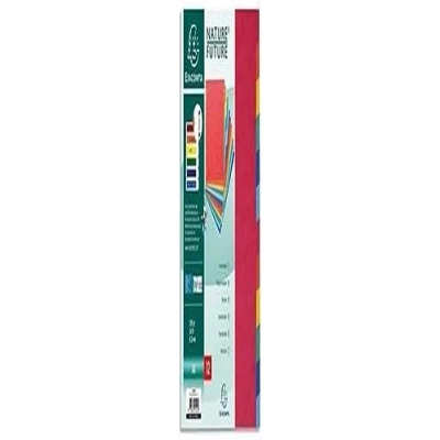 Imagen de Exacompta 99H Separadores en cartulina rígida brillante FSC® de 400g/m2 con 12 pestañas neutras Página indexación incluida Formato archivo A4 Dimensiones 22,5x29,7cm Colores surtidos