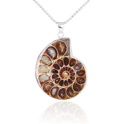 Imagen de BOBEINI Natural Ammonita Fósiles Colgante Joyería Tono Plata Piedra Envuelto Collar De Moda