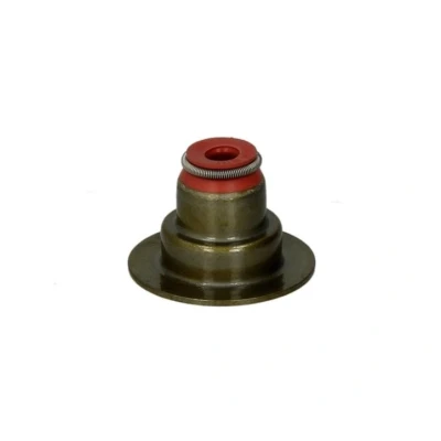 Imagen de REINZ 70 36613 00 Retenes de Válvulas OPEL: Astra G Coupé, H GTC, Zafira B, CHEVROLET: Aveo / Kalos Berlina