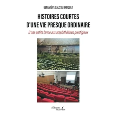Imagen de Histoires Courtes Dune Vie Presque Ordinaire (ebook)