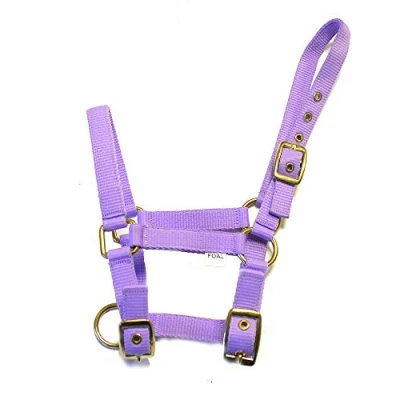 Imagen de Rhinegold Cuello de Cabeza Potro Nailon, Lila, Talla única