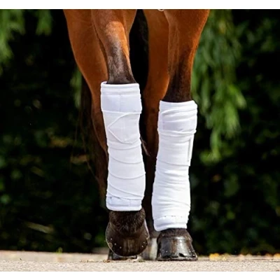 Imagen de HB Showtime Bandage Pads