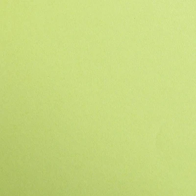 Imagen de Clairefontaine 97152C Paquete de papel Maya (25 hojas, liso, 50 x 70 cm, 120 g), color verde