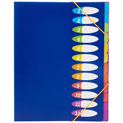 Imagen de Viquel Carpeta fuelle (12 compartimentos, polipropileno, colores neón)