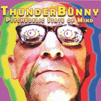 Imagen de Psychedelic State Of Mind