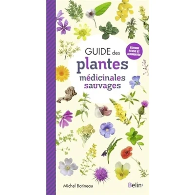 Imagen de Guide Des Plantes Médicinales Sauvages (ebook)