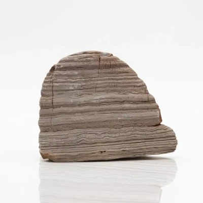 Imagen de Amtra Roccia Thousand Layer Adorno Natural para acuarios Wild, calcárea, Ideal Jardines Zen, Peso 2 3,5 kg