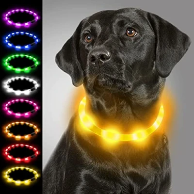 Imagen de Joytale Collar Luminoso Perro, para Mascotas LED Ajustables con Luz, Collares Recargable USB Perros Pequeños, Medianos y Grandes, Amarillo