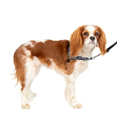 Imagen de PetSafe Lujo para Perros Arnés Deluxe Easy Walk, pequeño, Gris Acero, Nailon, Small (Pack of 1)