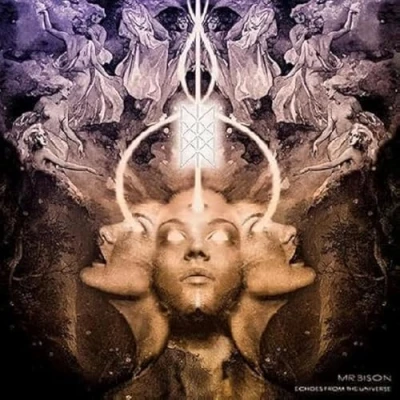 Imagen de Echoes From The Universe [Vinilo]