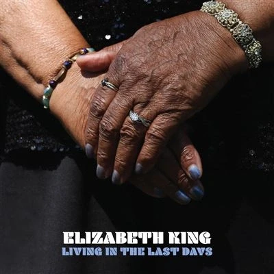 Imagen de Living In The Last Days [Vinilo]