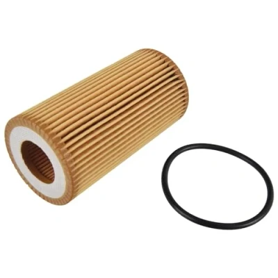 Imagen de BLUE PRINT ADBP210024 Filtro de aceite con junta anular Cartucho filtrante FORD: Focus Mk4 Hatchback
