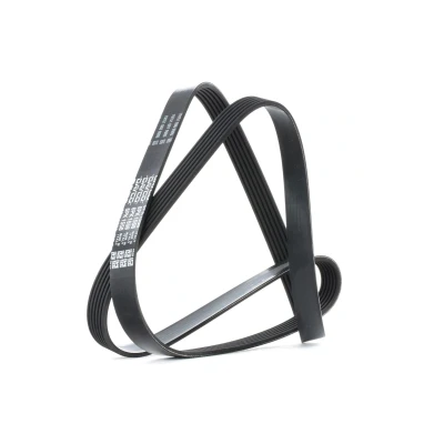 Imagen de DAYCO 6PK1558 Correa trapecial poli V 1558,0 6 CITROËN: Berlingo / First I, Xsara Picasso, Hatchback, PEUGEOT: 206 Hatchback
