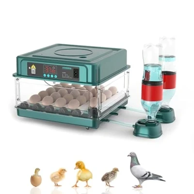 Imagen de Incubadora automática,Incubadora automática de huevos,incubadora 24/36 con sistema volteo automático y control temperatura,adecuado para huevos gallina,huevos codorniz (24