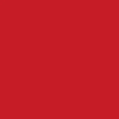 Imagen de d c fix Mantel para Fiestas, de Hule, Cocina, Comedor, Mesa Cerveza, Revestimiento Resistente a Las Manchas, Apto Alimentos, Rojo, 100 cm x 250