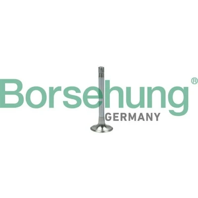 Imagen de Soupape d&#039;émission Borsehung B18999