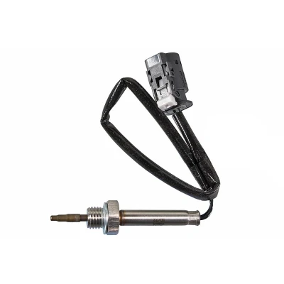 Imagen de METZGER 08941044 Sensores hacia la recirculación de gases escape BMW: X5, 3 Berlina, Touring, MINI: Countryman