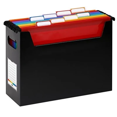 Imagen de Viquel EasyCase caja garnie de 8 carpetas colgantes (polipropileno colores impresionistas