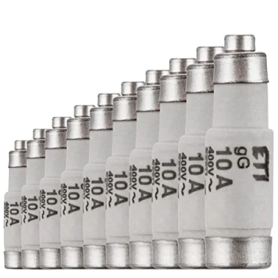 Imagen de REV Ritter 515005555 Fusible