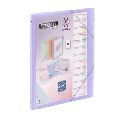 Imagen de Viquel Propysoft Organizador personalizable con 12 compartimentos (tamaño A4, cierre elástico), color morado translúcido